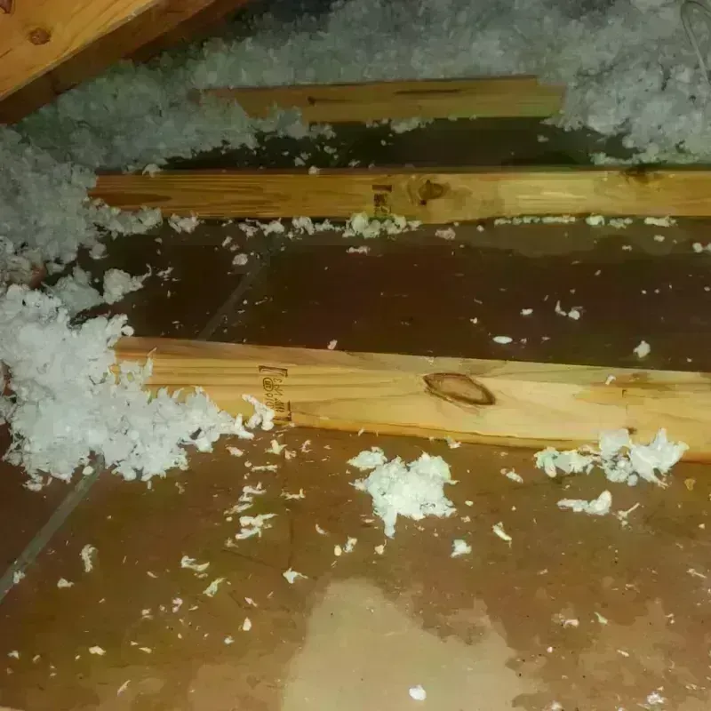 Attic Water Damage in Cando, ND