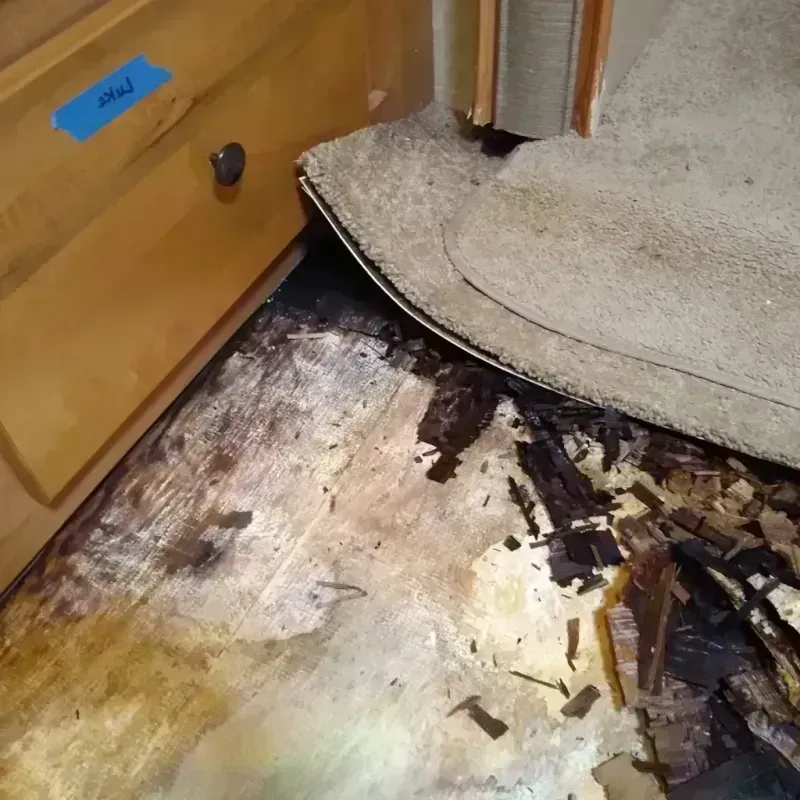 Wood Floor Water Damage in Cando, ND